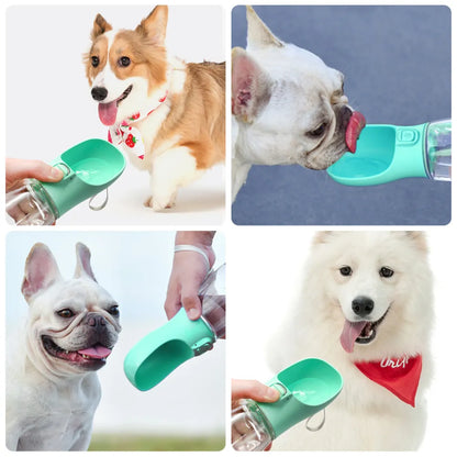 Pet Bottle-Portable Wasserflasche